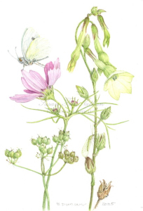 Works by Beverly Duncan
