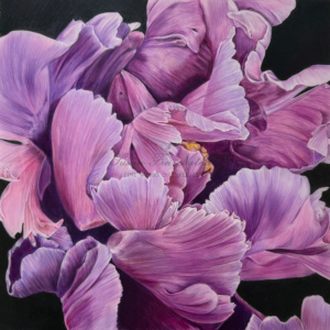 Works by Susan Rubin