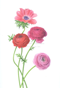 Works by Karen Kluglein